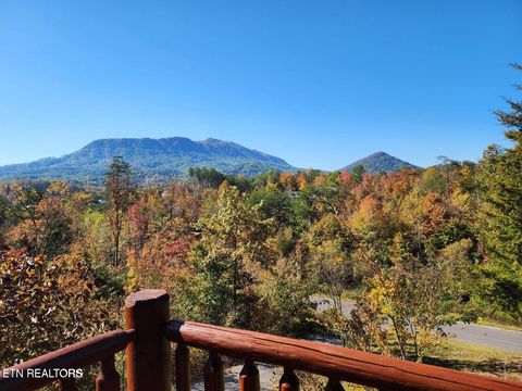 Tiny photo for 670 Magic Kingdom Ln, Sevierville, TN 37876 (MLS # 1317833)
