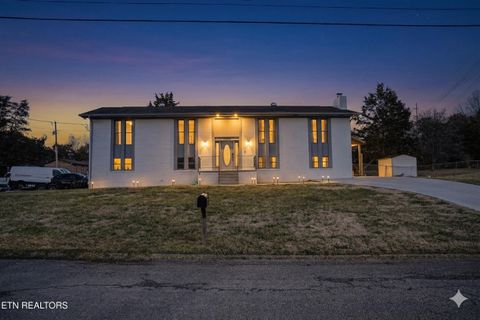 Photo of 7328 Palmleaf Rd Rd, Knoxville, TN 37918 (MLS # 1336176)