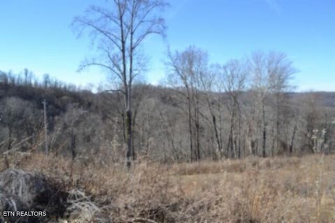 Tiny photo for 5 Schelley Rd, Gainesboro, TN 38562 (MLS # 1326311)