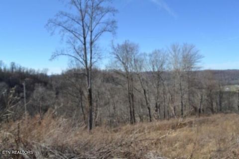 Tiny photo for 5 Schelley Rd, Gainesboro, TN 38562 (MLS # 1326311)