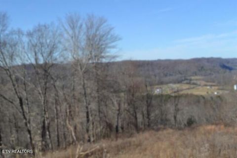 Tiny photo for 5 Schelley Rd, Gainesboro, TN 38562 (MLS # 1326311)