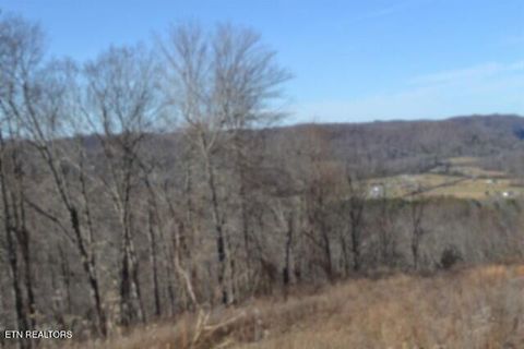 Tiny photo for 5 Schelley Rd, Gainesboro, TN 38562 (MLS # 1326311)