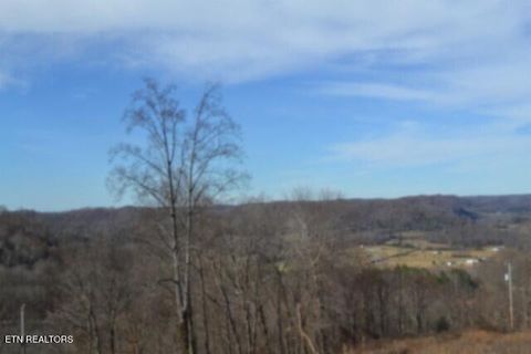 Tiny photo for 5 Schelley Rd, Gainesboro, TN 38562 (MLS # 1326311)