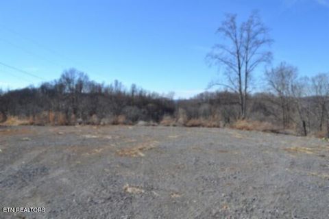Tiny photo for 5 Schelley Rd, Gainesboro, TN 38562 (MLS # 1326311)