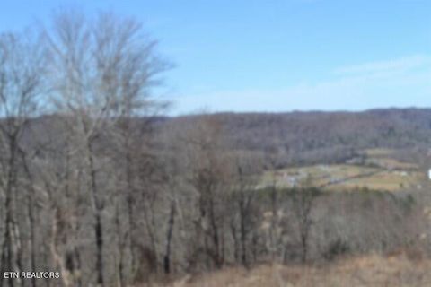 Tiny photo for 5 Schelley Rd, Gainesboro, TN 38562 (MLS # 1326311)