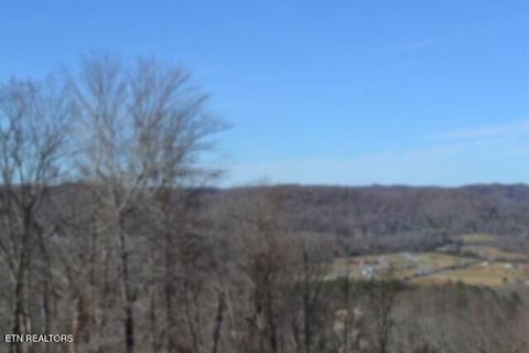 Tiny photo for 5 Schelley Rd, Gainesboro, TN 38562 (MLS # 1326311)