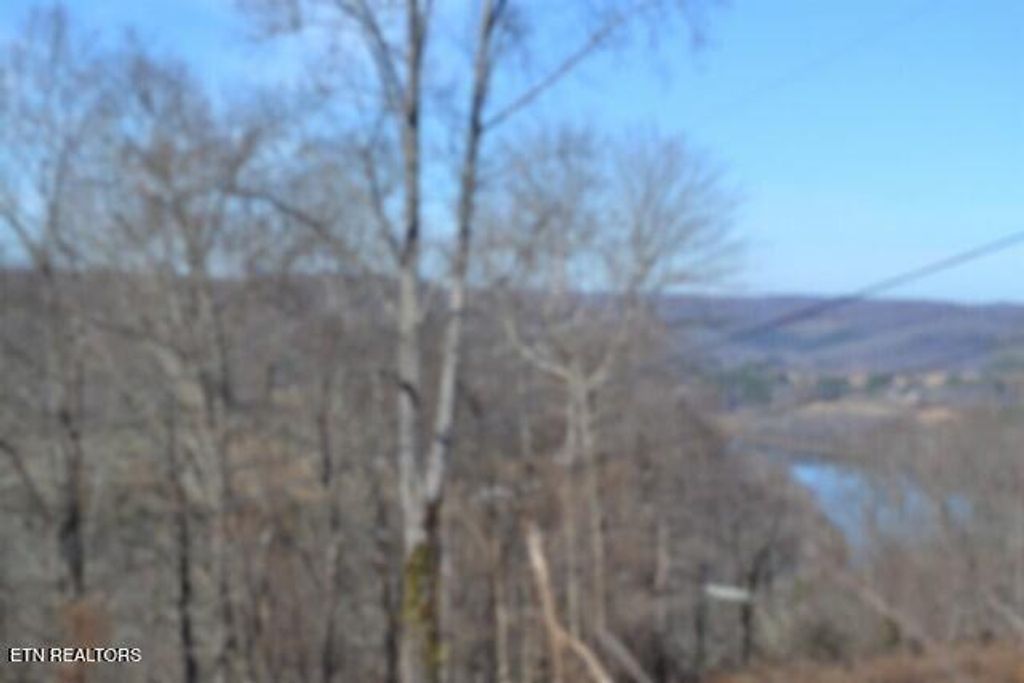 Photo of 5 Schelley Rd, Gainesboro, TN 38562 (MLS # 1326311)