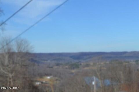 Tiny photo for 5 Schelley Rd, Gainesboro, TN 38562 (MLS # 1326311)