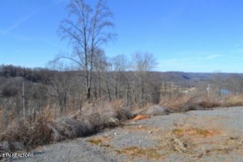 Tiny photo for 5 Schelley Rd, Gainesboro, TN 38562 (MLS # 1326311)