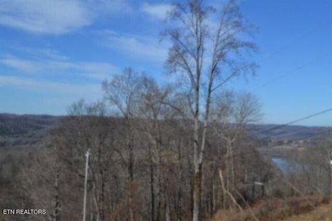 Tiny photo for 5 Schelley Rd, Gainesboro, TN 38562 (MLS # 1326311)