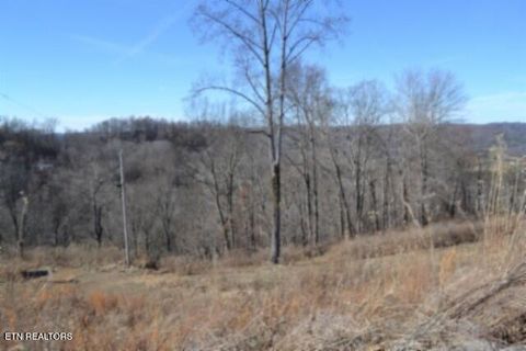 Tiny photo for 5 Schelley Rd, Gainesboro, TN 38562 (MLS # 1326311)