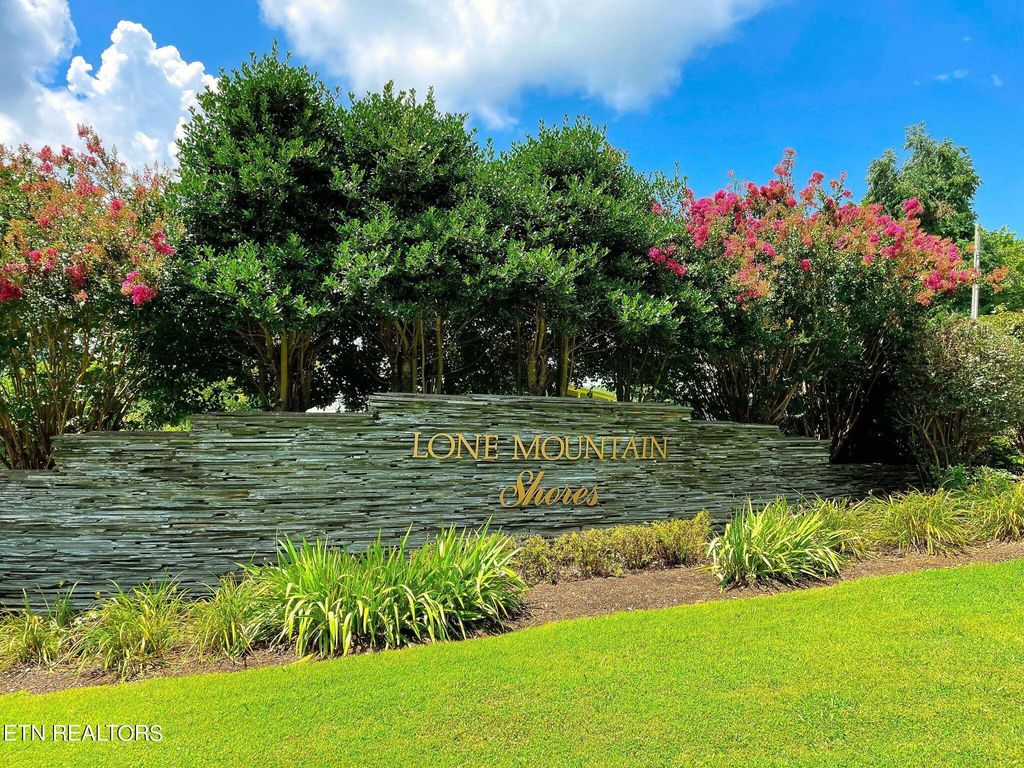 Photo of LOT 199 CLINCH VIEW Rd, New Tazewell, TN 37825 (MLS # 1276085)