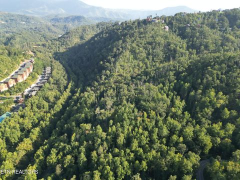 Wiley Oakley Drive Gatlinburg TN 37738