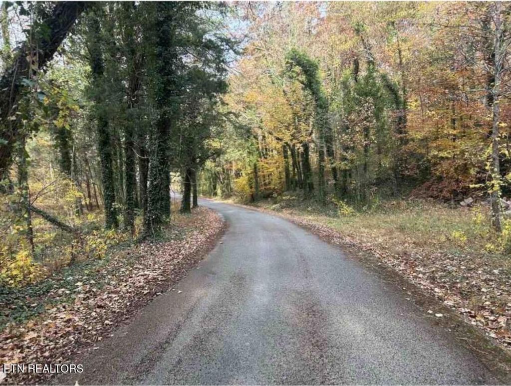 Photo of 124 Rosenbalm Rd, Heiskell, TN 37754 (MLS # 1336901)