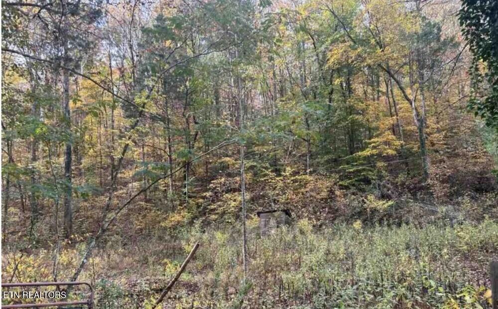 124 Rosenbalm Rd