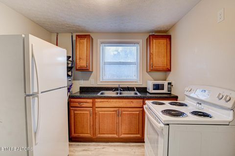 Tiny photo for 707 W King St, Jefferson City, TN 37760 (MLS # 1340593)