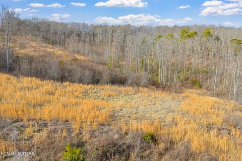 Tiny photo for 662 Buck Creek Rd, Kingston, TN 37763 (MLS # 1328059)
