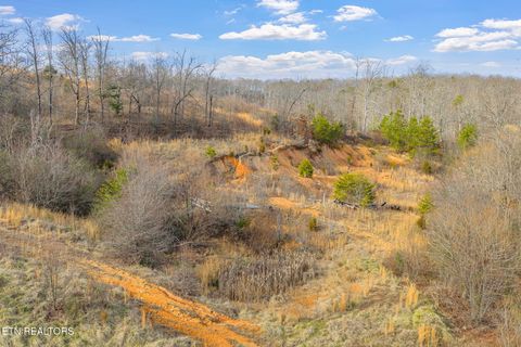 Tiny photo for 662 Buck Creek Rd, Kingston, TN 37763 (MLS # 1328059)