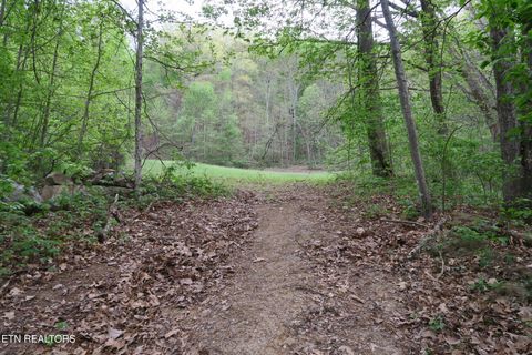 250 Mountain Side Lane Rocky Top TN 37769
