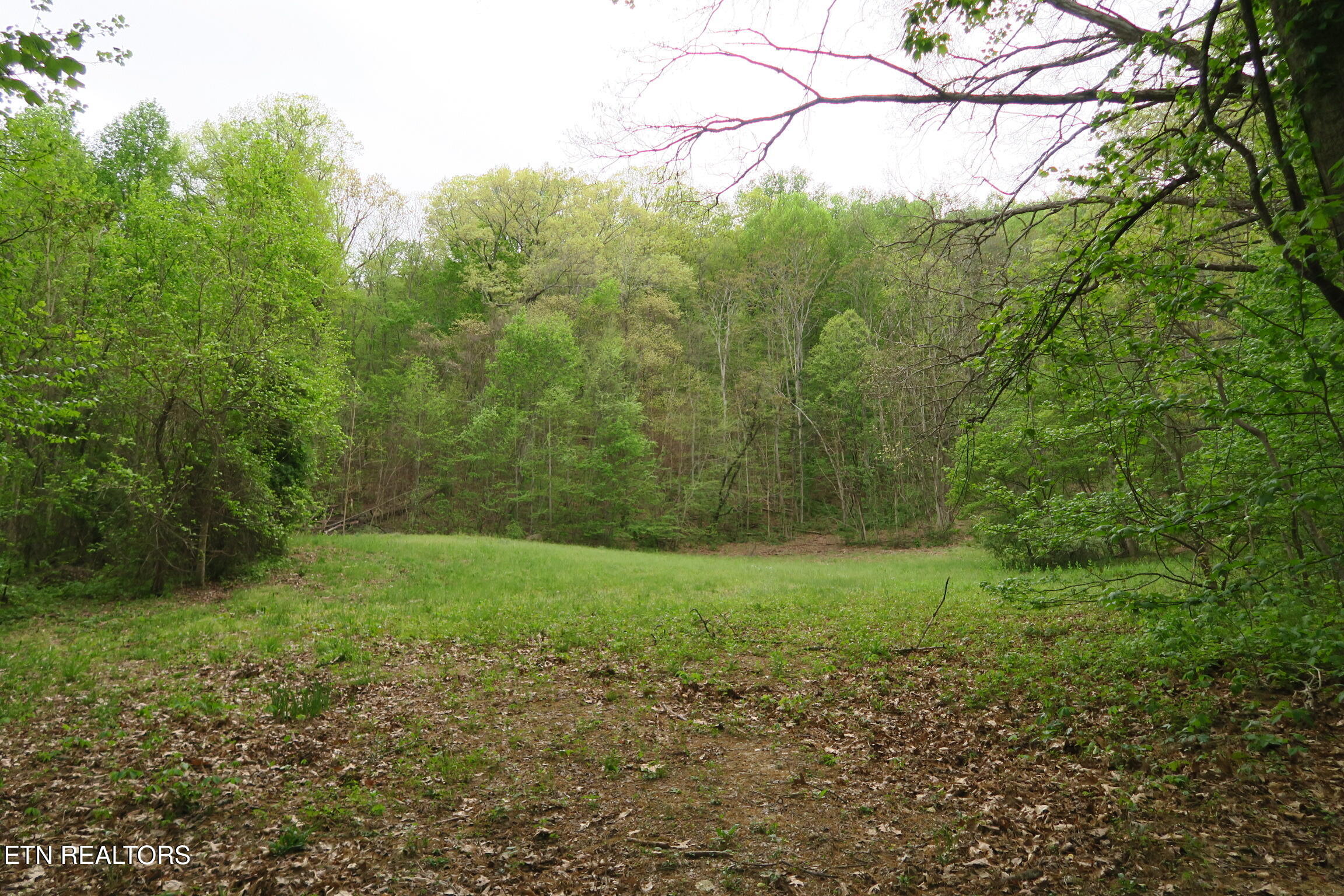 250 Mountain Side Lane