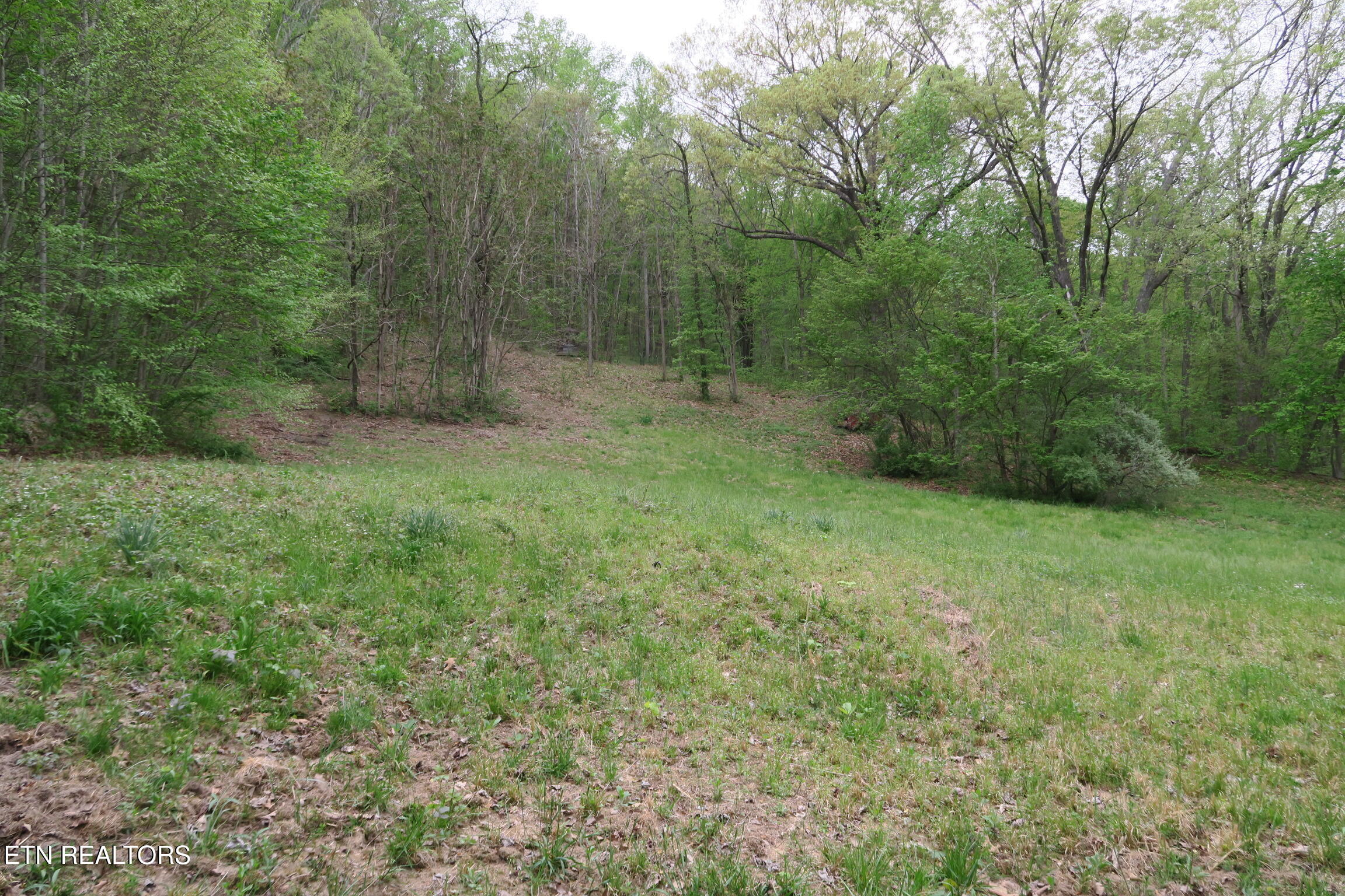 250 Mountain Side Lane