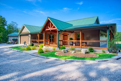 219 Blazing Saddle Jamestown TN 38556