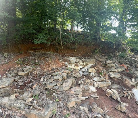 Tiny photo for 2828 SW Shorewoood Point, Morristown, TN 37813 (MLS # 1348818)