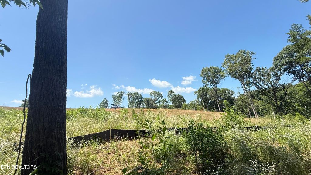 Photo of 2828 SW Shorewoood Point, Morristown, TN 37813 (MLS # 1348818)
