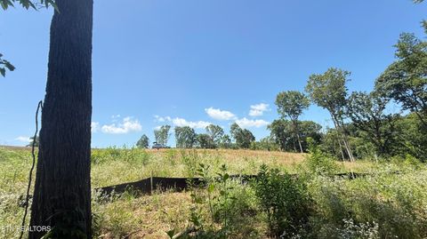 Tiny photo for 2828 SW Shorewoood Point, Morristown, TN 37813 (MLS # 1348818)