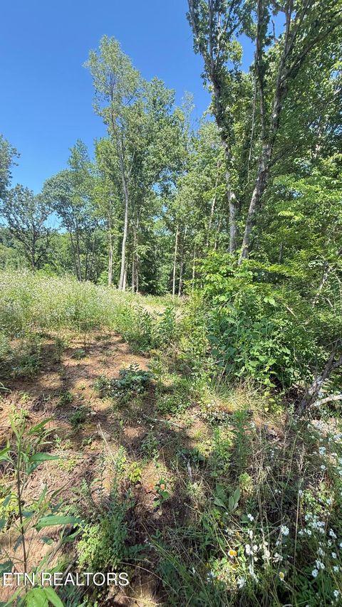 Tiny photo for 2828 SW Shorewoood Point, Morristown, TN 37813 (MLS # 1348818)