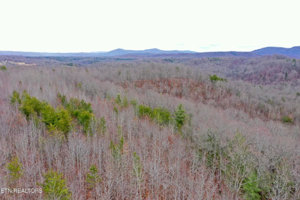 Photo of Coal Hill Rd, Sunbright, TN 37872 (MLS # 1288581)