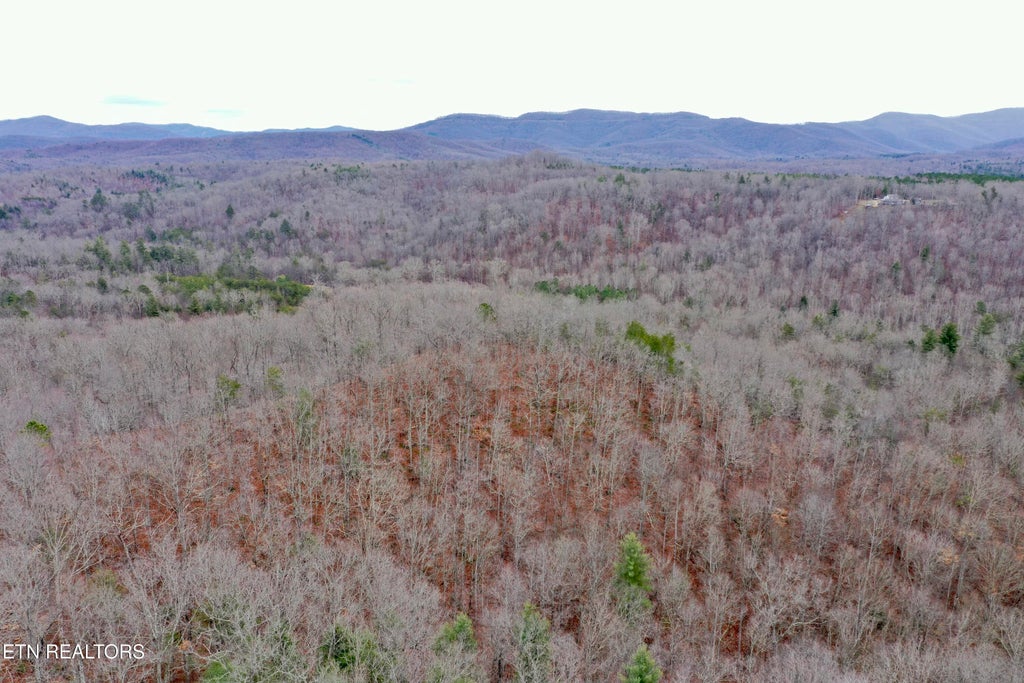 Photo of Coal Hill Rd, Sunbright, TN 37872 (MLS # 1288581)