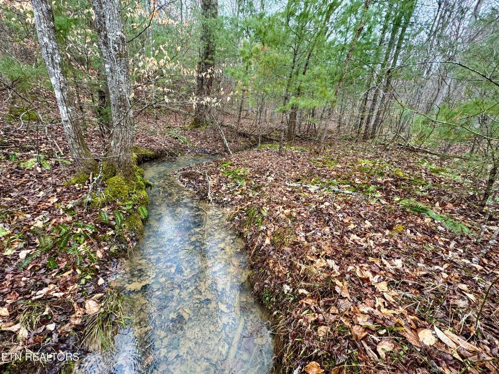 Photo of Coal Hill Rd, Sunbright, TN 37872 (MLS # 1288581)