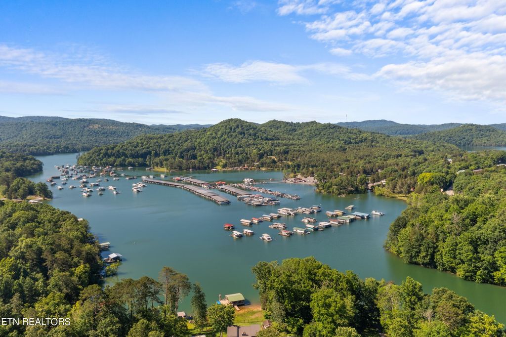 Photo of 496 Cape Norris Rd, New Tazewell, TN 37825 (MLS # 1266404)