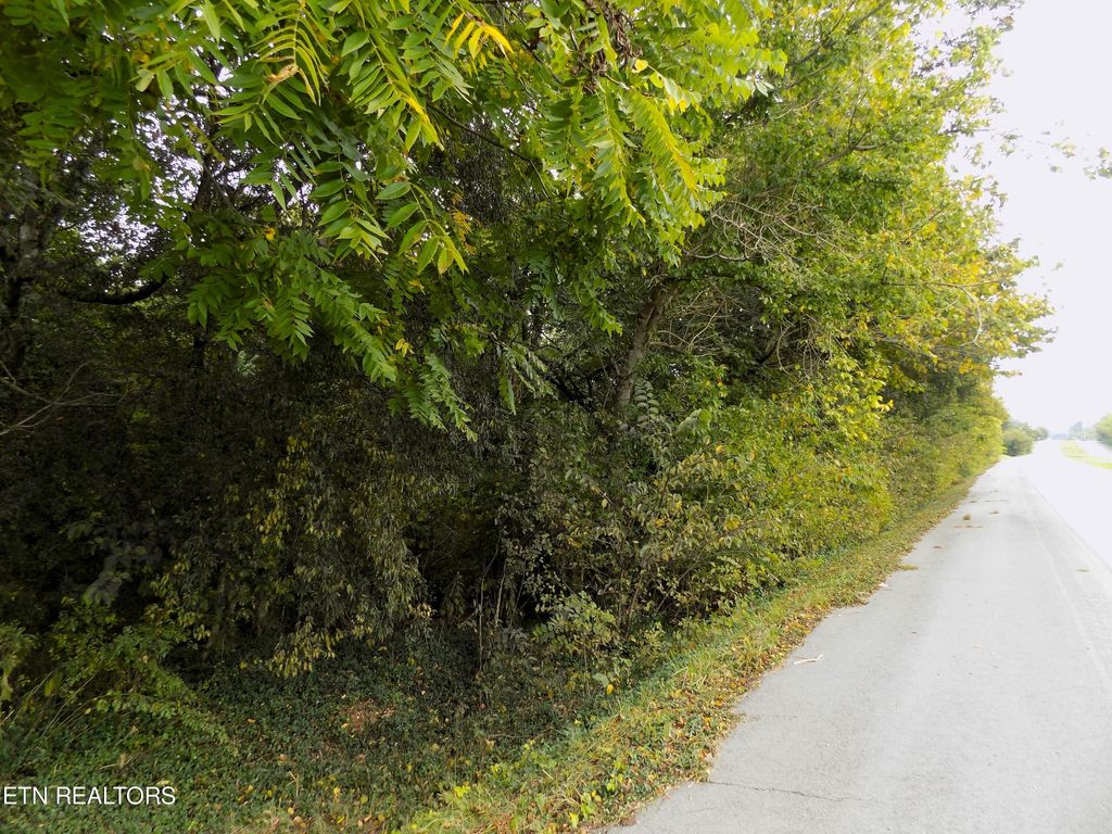 Photo of 2101 11E W Hwy, Strawberry Plains, TN 37871 (MLS # 1241201)