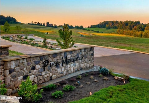 Tiny photo for 27 Vista Ridge Drive, White Pine, TN 37890 (MLS # 1359472)