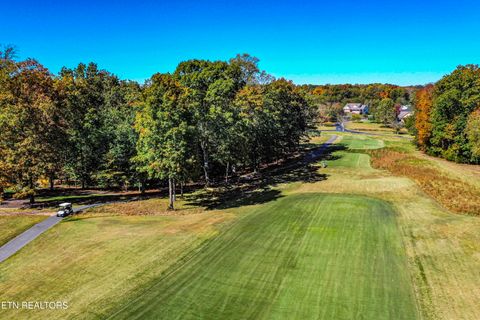 Tiny photo for 823 Kahite Tr, Vonore, TN 37885 (MLS # 1321401)