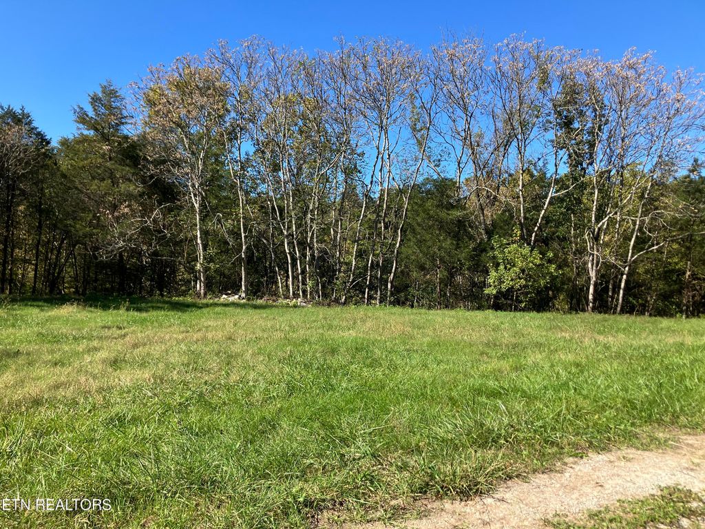 Photo of Hickory Valley Rd, Maynardville, TN 37807 (MLS # 1278997)