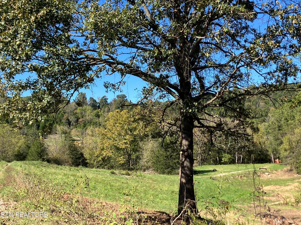 Photo of Hickory Valley Rd, Maynardville, TN 37807 (MLS # 1278997)