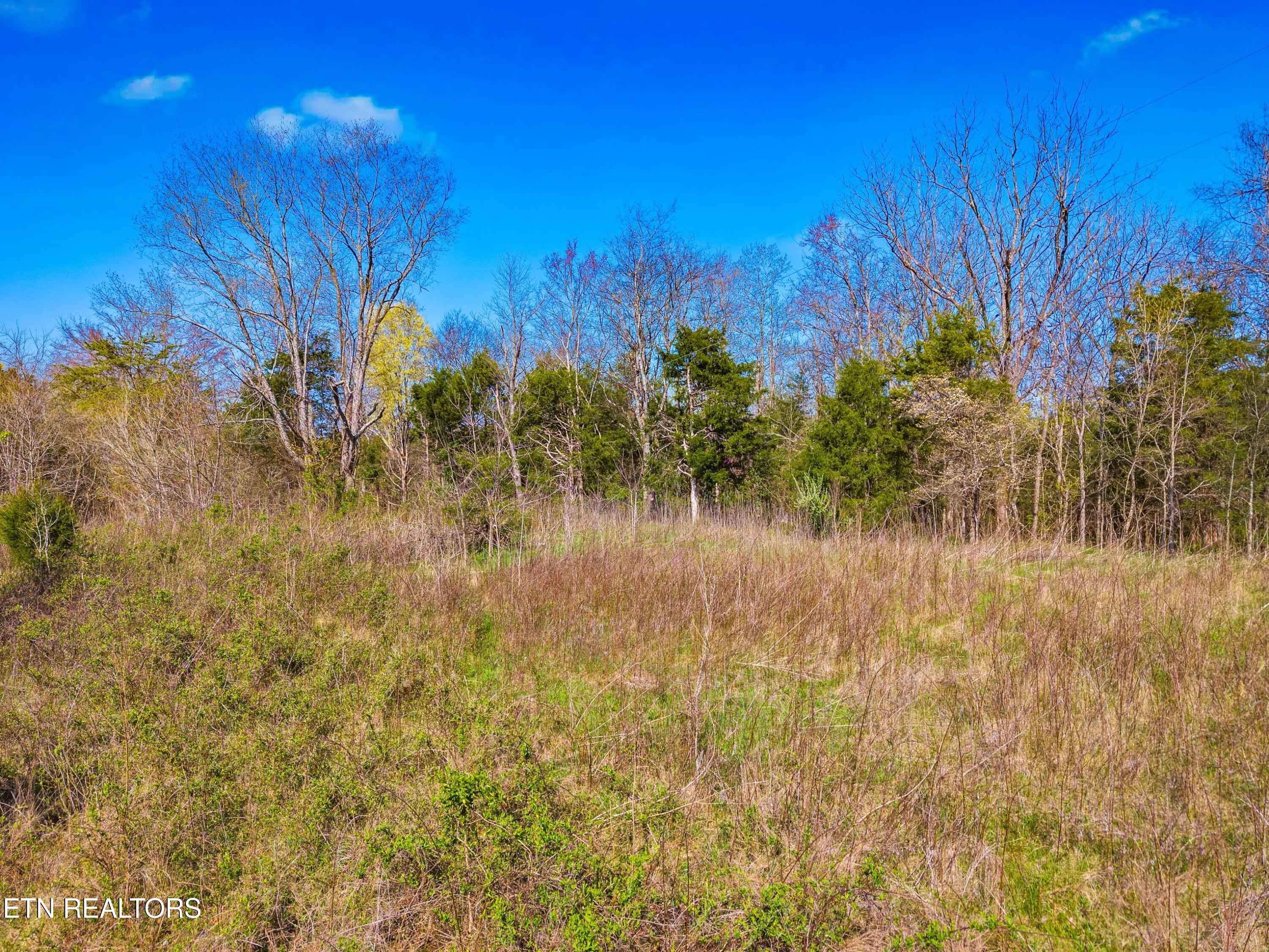Tract 1 Dumplin Mill Rd