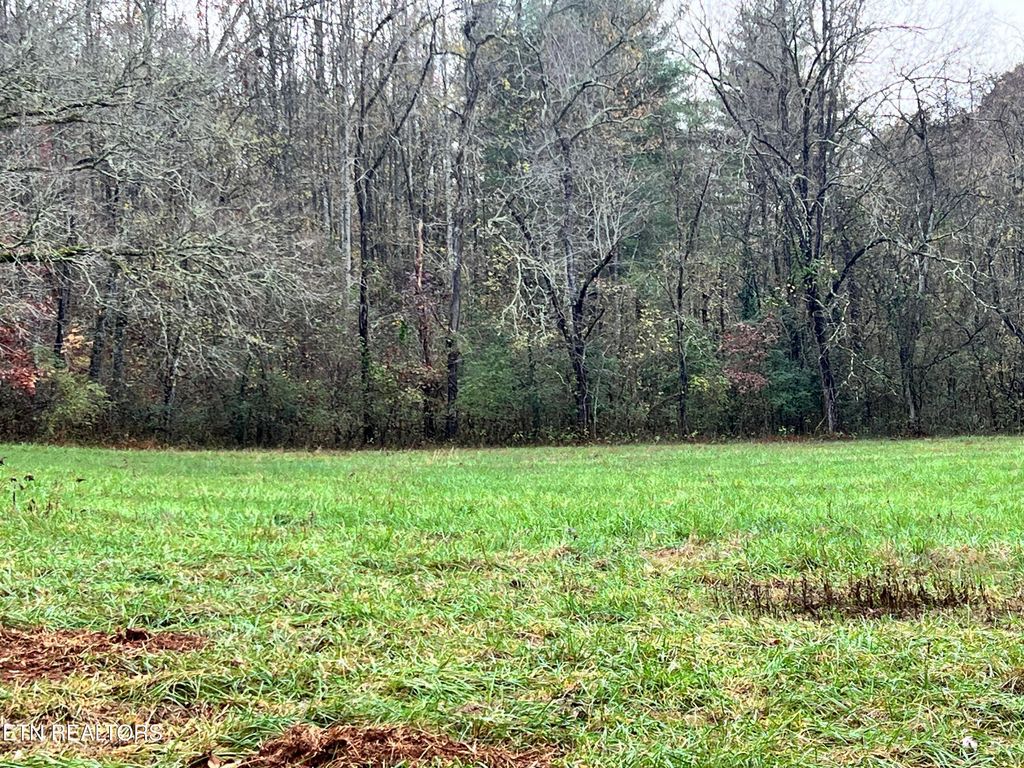 Photo of 1 Raby Hollow Rd, Kingston, TN 37763 (MLS # 1283081)