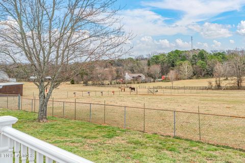 Tiny photo for 5926 Old Niles Ferry Pike, Greenback, TN 37742 (MLS # 1330233)
