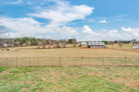 Tiny photo for 5926 Old Niles Ferry Pike, Greenback, TN 37742 (MLS # 1330233)