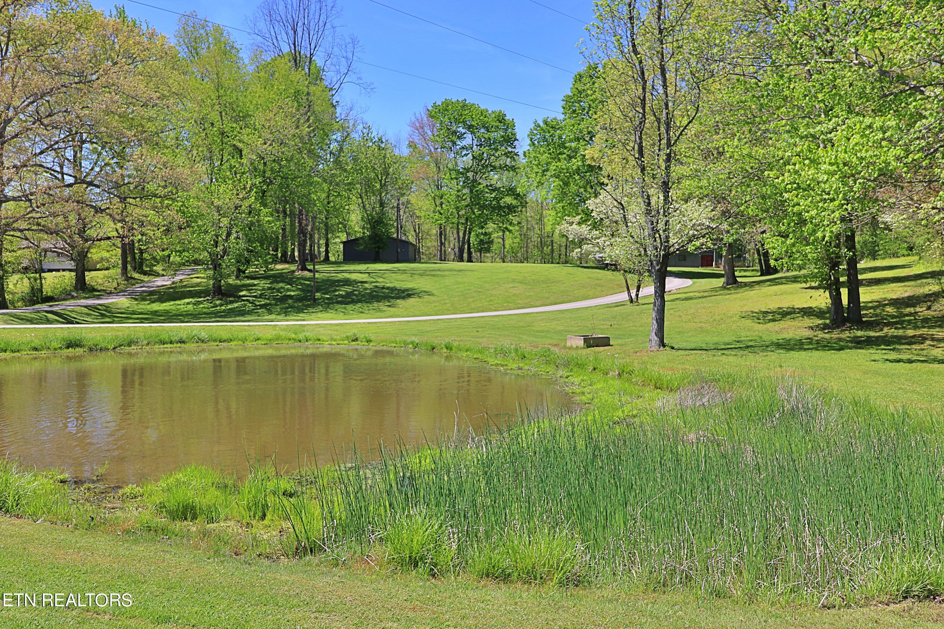 View Oneida, TN 37841 house