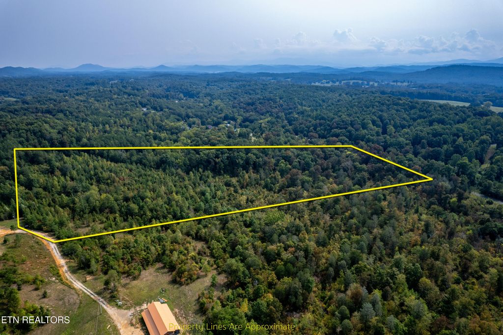 Photo of 000 Shadden Rd, Tellico Plains, TN 37385 (MLS # 1315354)