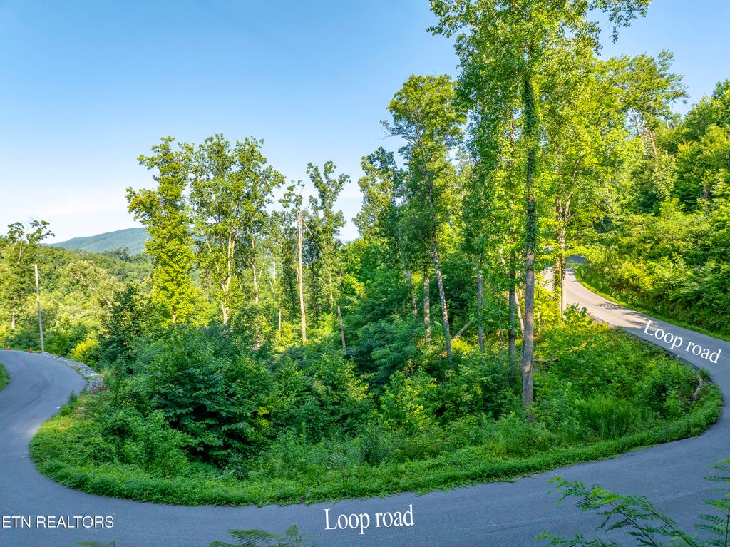 Photo of Loop Rd, Gatlinburg, TN 37738 (MLS # 1307617)