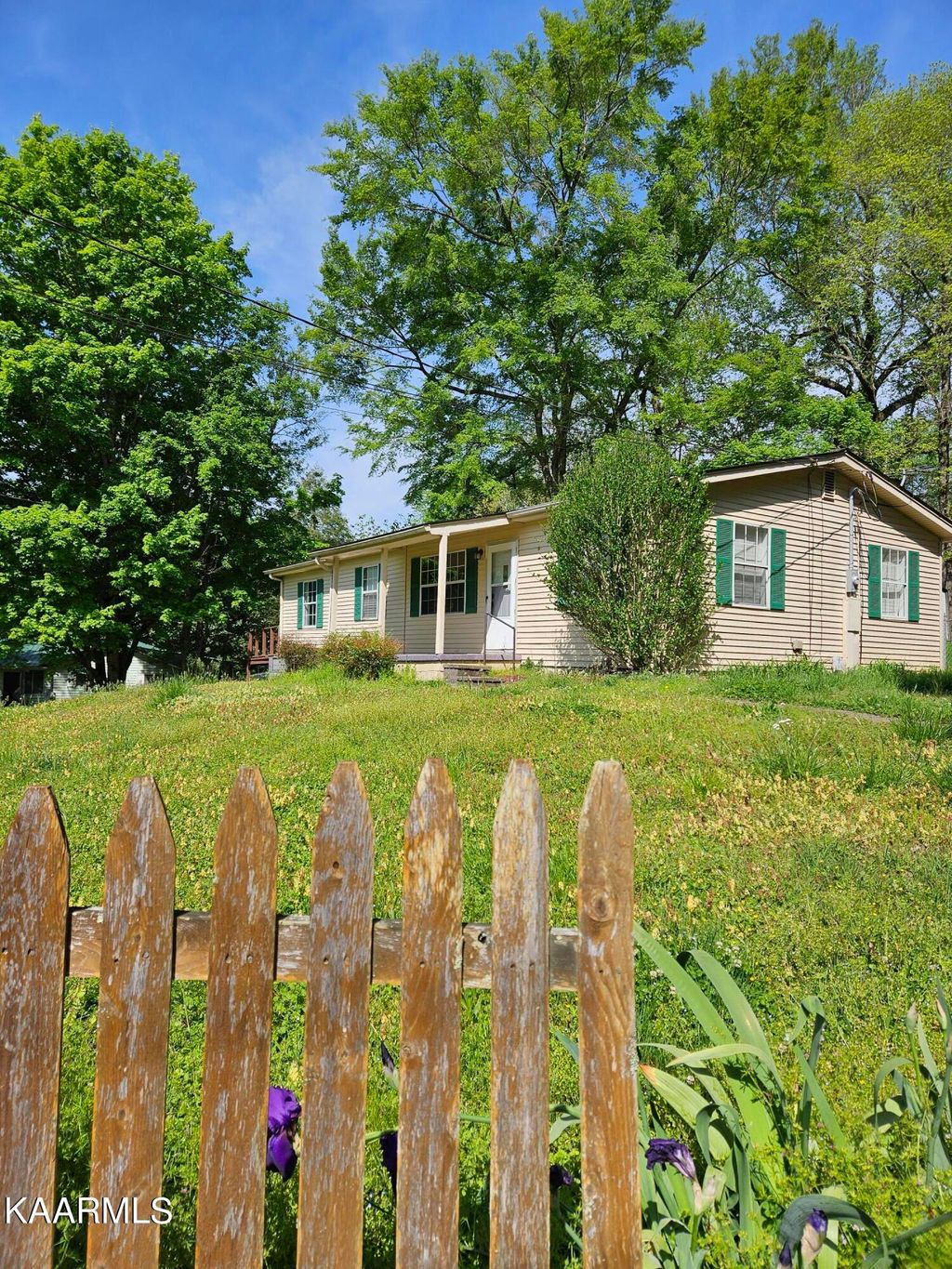 Photo of 3911 Rocky Branch Rd, Walland, TN 37886 (MLS # 1224613)