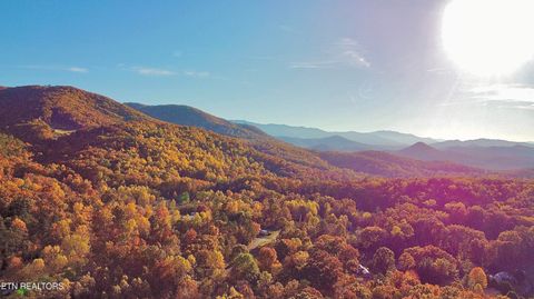 Tiny photo for 1053 Arrowhead Drive, Newport, TN 37821 (MLS # 1321348)