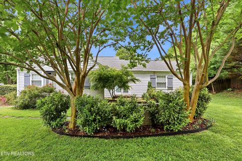 Tiny photo for 4061 Sequoyah Ave, Knoxville, TN 37919 (MLS # 1340020)