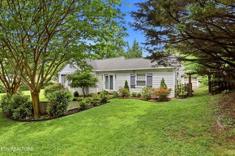 Photo of 4061 Sequoyah Ave, Knoxville, TN 37919 (MLS # 1340020)